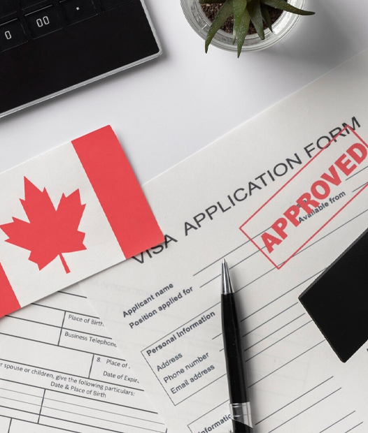 Visitor Visa Application